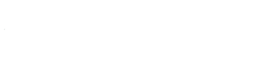 King MicroShield® Logo in White