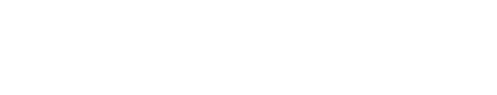 King StarBoard® Logo in White